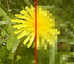 Megapixel - contano veramente quanto dicono?