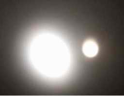 Maglite e Surefire (a destra) a confronto