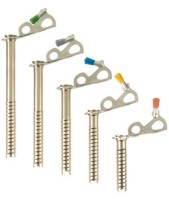 Black Diamond Express Ice Screws