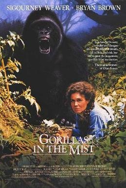 Locandina di Gorilla nella nebbia