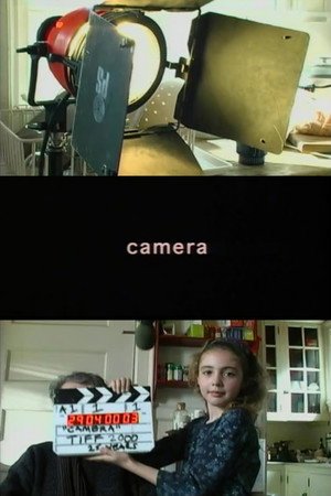 Locandina di Camera