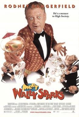 Locandina di Piacere, Wally Sparks