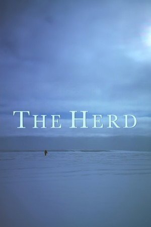 Locandina di The Herd