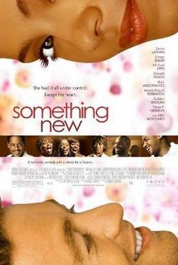 Locandina di Something New