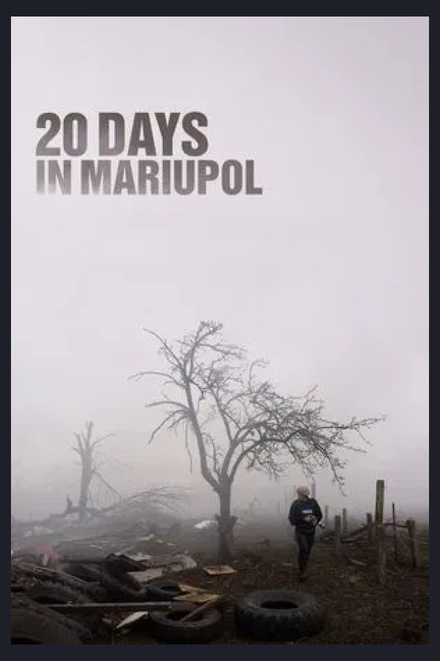 Locandina di 20 Days in Mariupol