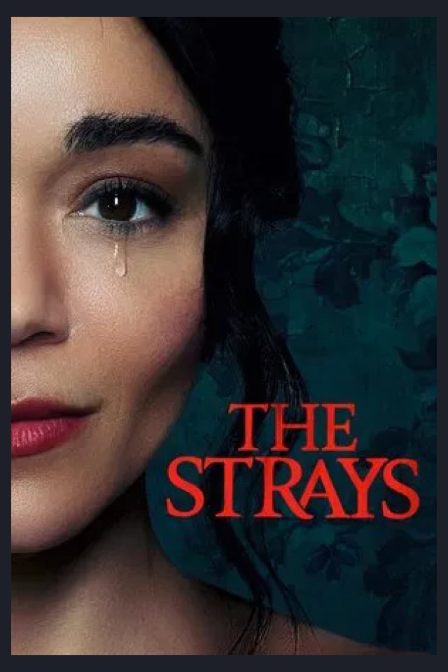 Locandina di The Strays
