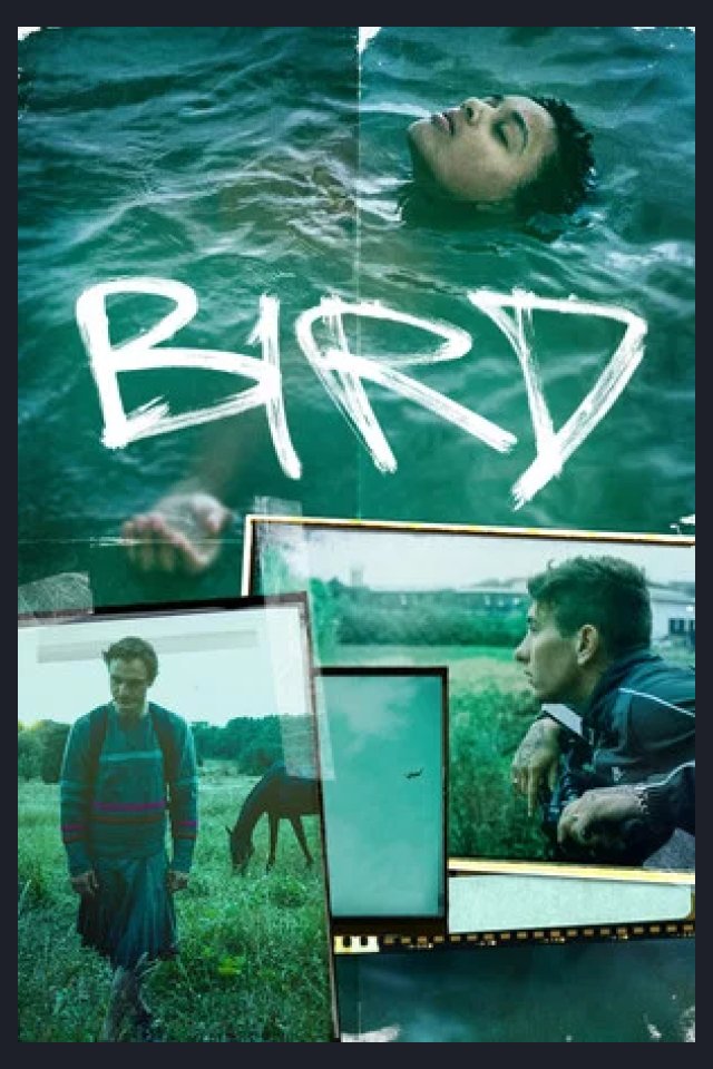 Locandina di Bird