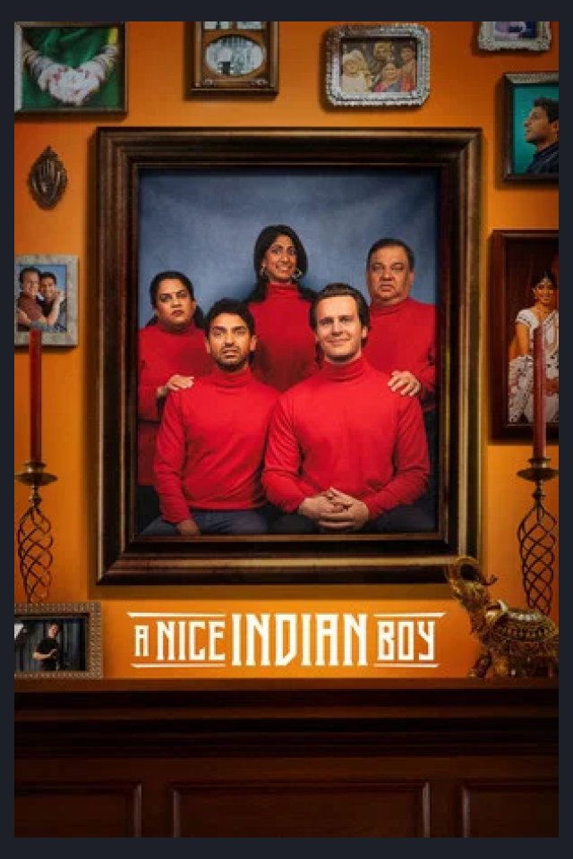 Locandina di A Nice Indian Boy