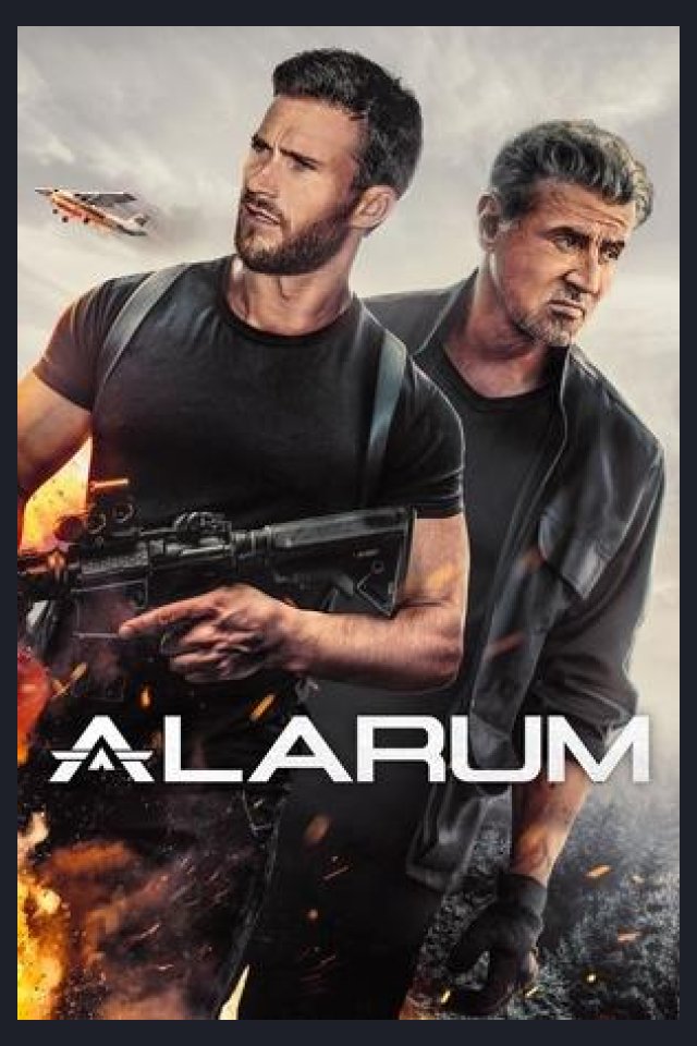 Locandina di Alarum