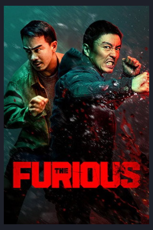 Locandina di The Furious