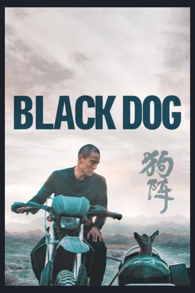 Locandina di Black Dog
