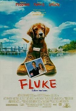 Locandina di Fluke