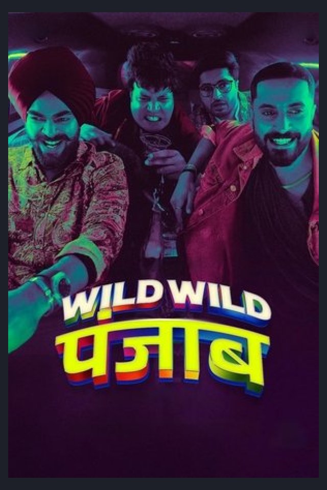 Locandina di Wild Wild Punjab