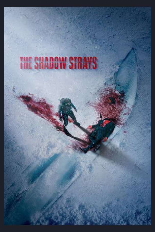 Locandina di The Shadow Strays