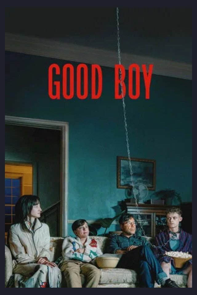 Locandina di Good Boy (film 2025 Komasa)