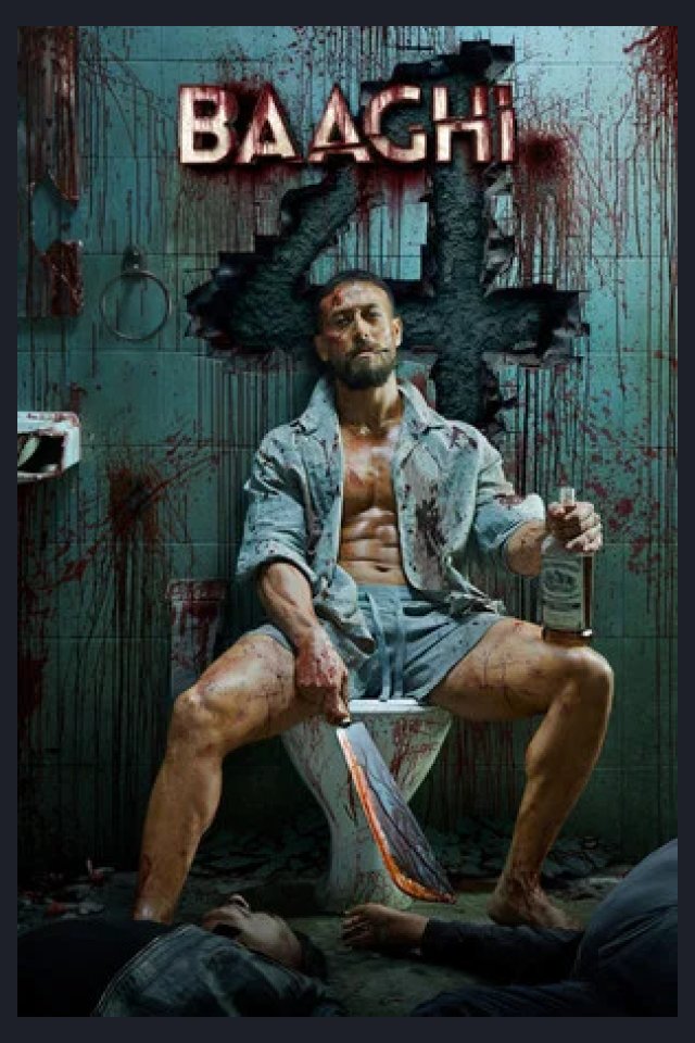 Locandina di Baaghi 4