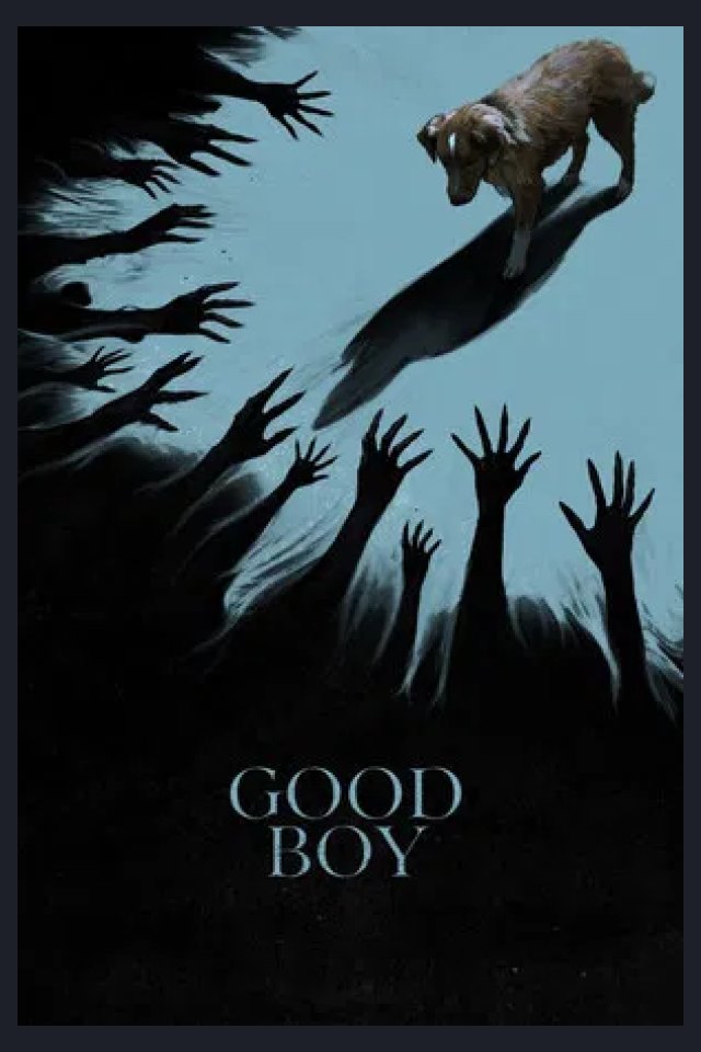 Locandina di Good Boy