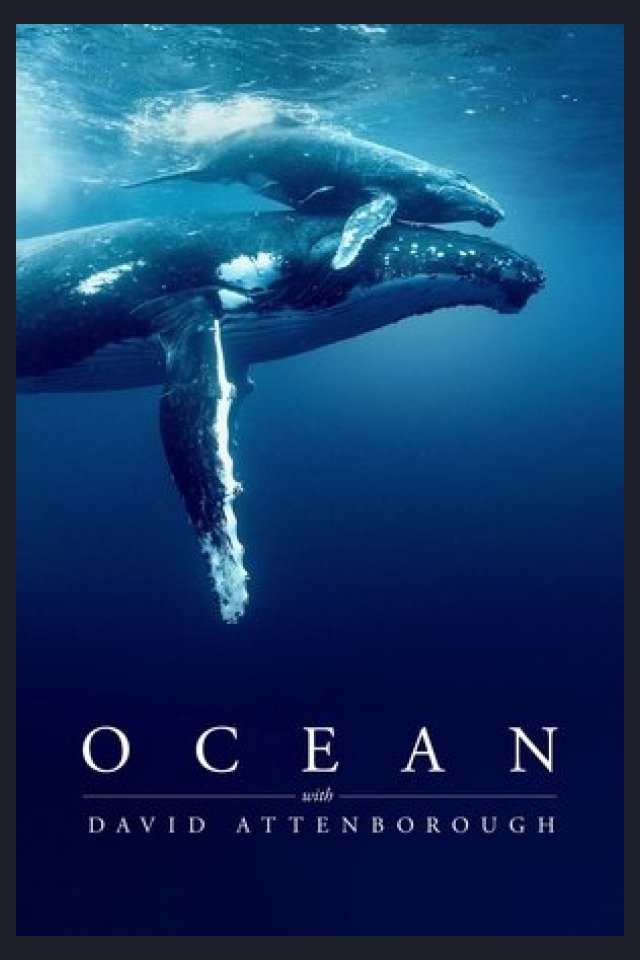 Locandina di Ocean with David Attenborough
