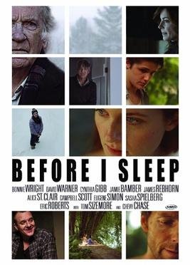 Locandina di Before I Sleep