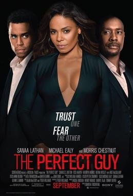 Locandina di The Perfect Guy