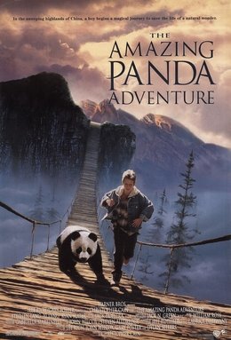 Locandina di Il piccolo panda