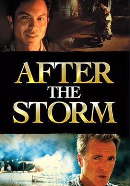 Locandina di After the Storm