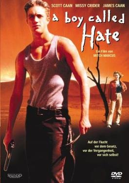 Locandina di A Boy Called Hate