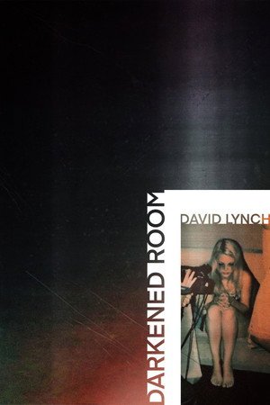 Locandina di Darkened Room