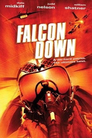 Locandina di Falcon Down