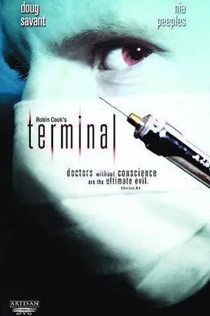 Locandina di Terminal