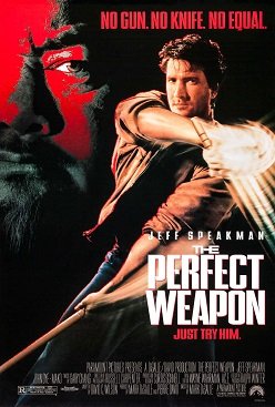 Locandina di Arma perfetta