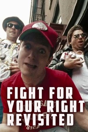 Locandina di Fight for Your Right Revisited