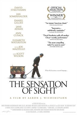 Locandina di The Sensation of Sight