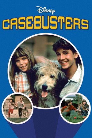 Locandina di Casebusters