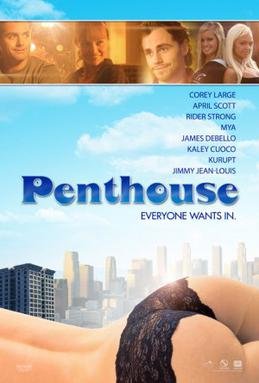 Locandina di The Penthouse