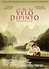 Il Velo Dipinto