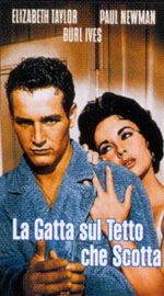 La gatta sul tetto che scotta
