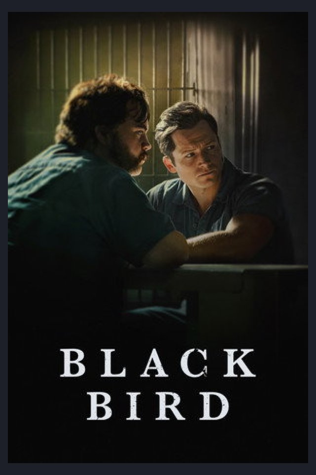 Locandina di Black Bird