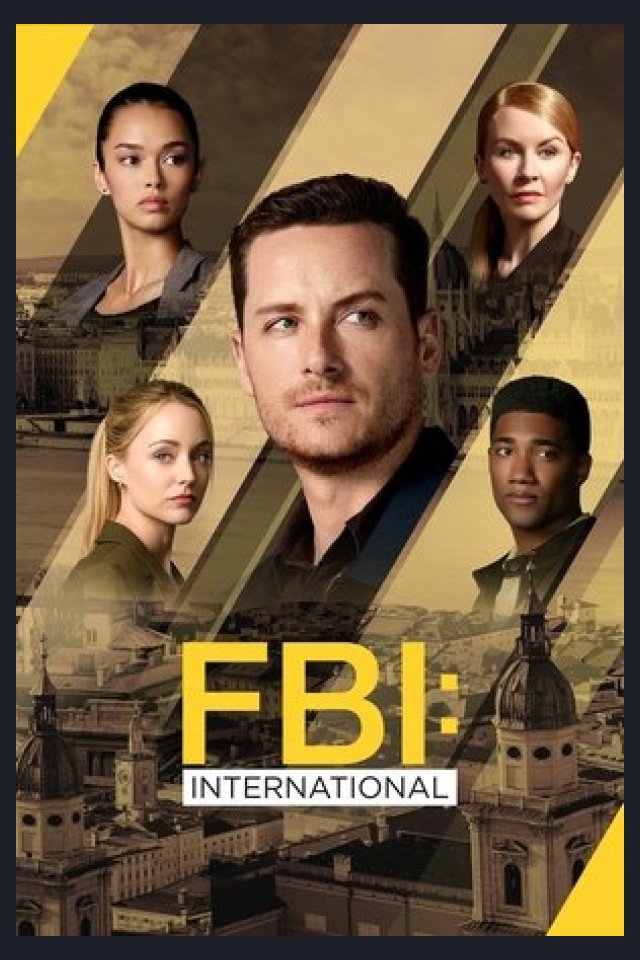 Locandina di FBI: International