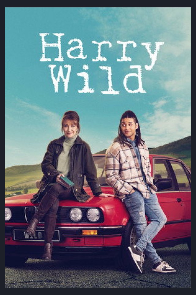 Locandina di Harry Wild - La signora del delitto