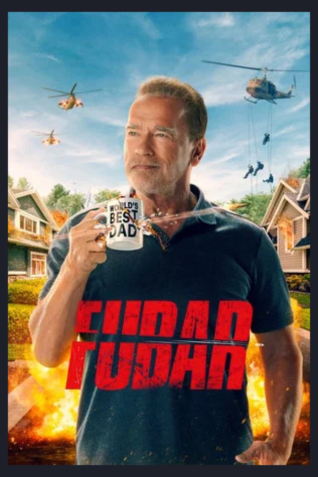 Locandina di FUBAR