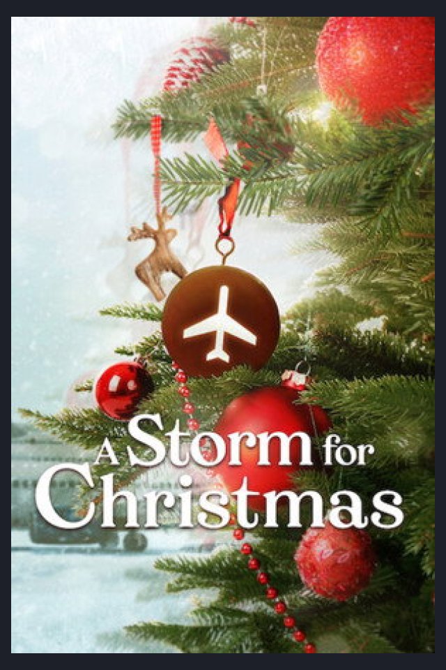 Locandina di A Storm for Christmas