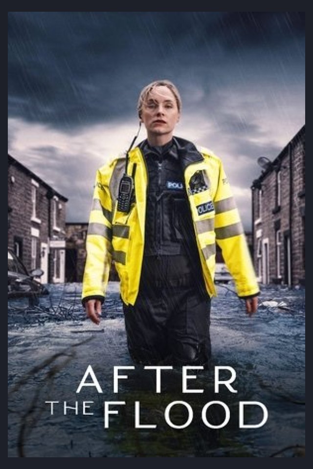 Locandina di After the Flood