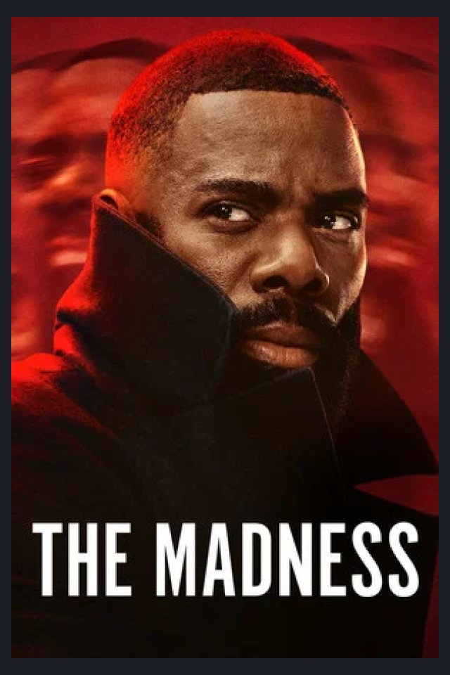 Locandina di The Madness