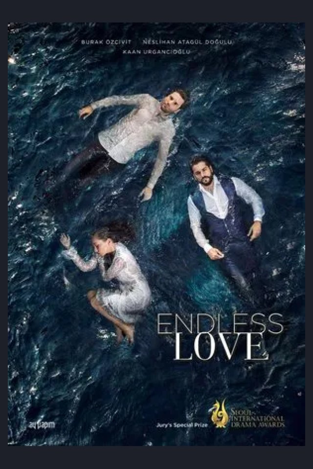 Locandina di Endless Love
