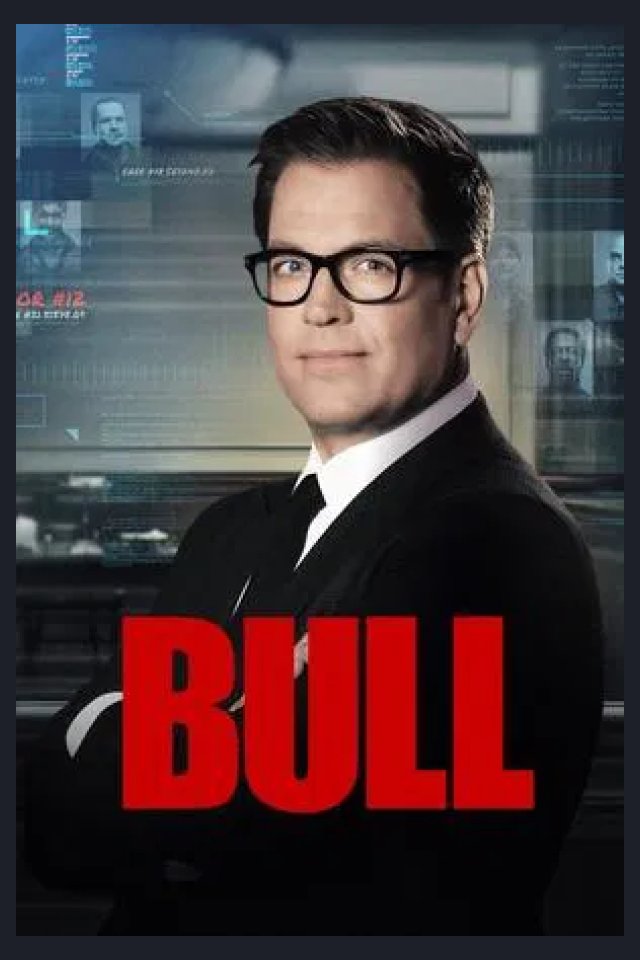Locandina di Bull