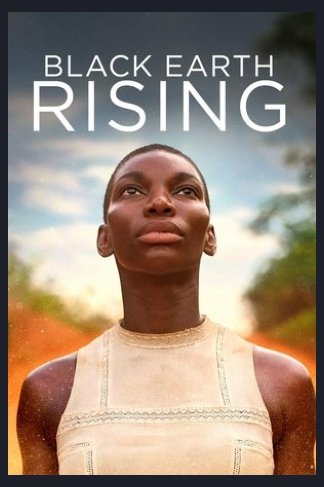 Locandina di Black Earth Rising