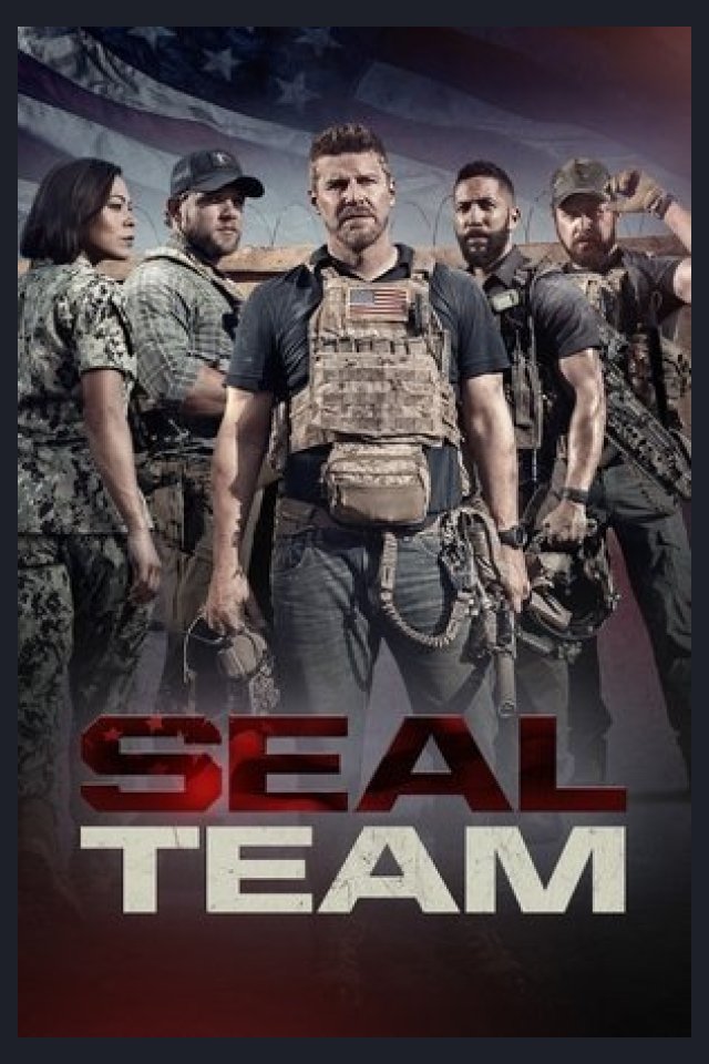 Locandina di SEAL Team