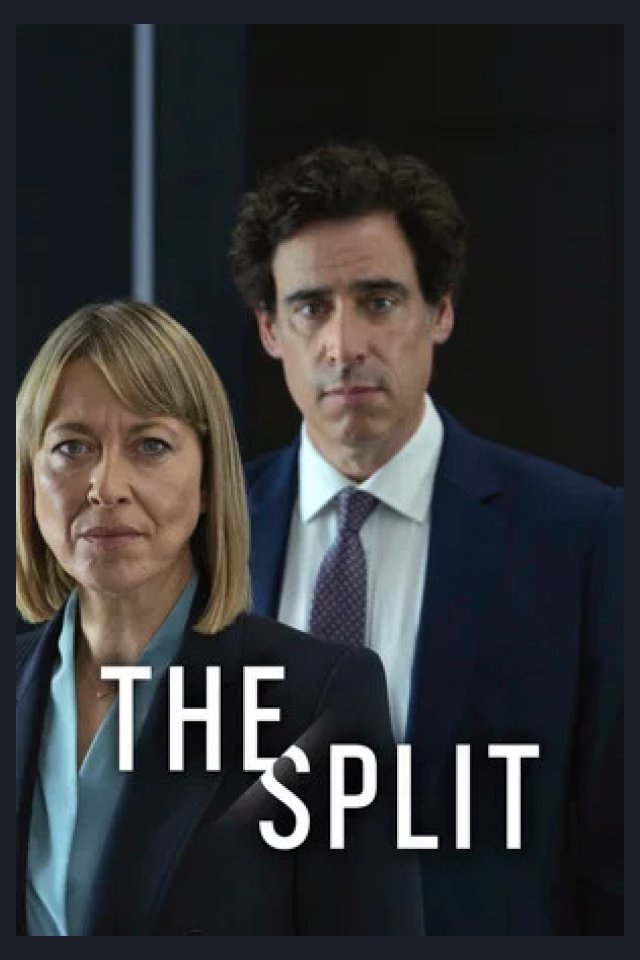 Locandina di The Split (serie televisiva)