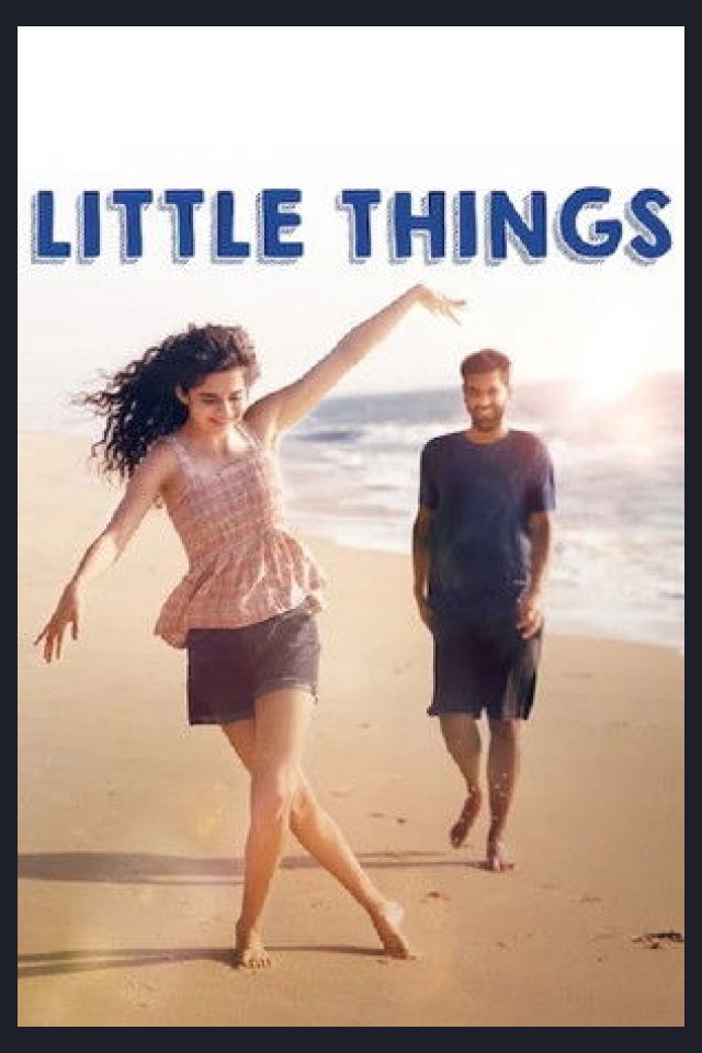 Locandina di Little Things